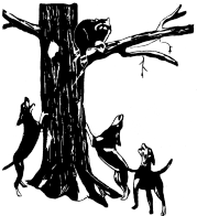 Black and White Treeing_small