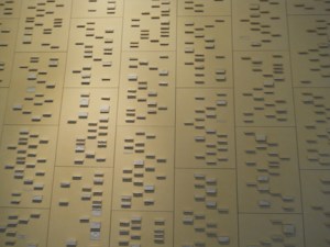 On With the New: Wall sculpture of DNA maps of current Devonshire family