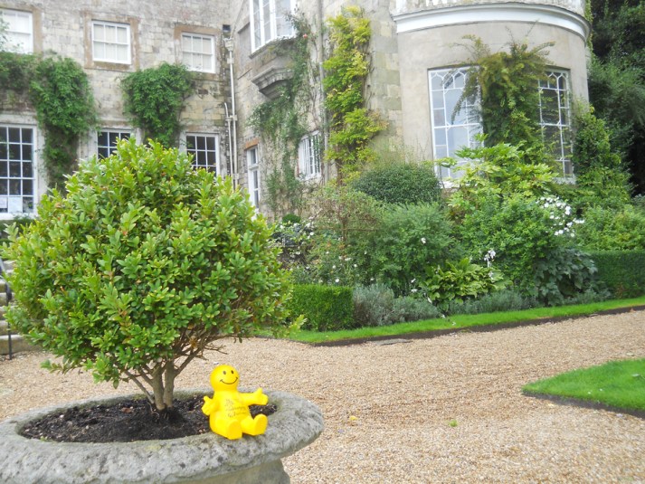 Squidgeworth at Firle Place