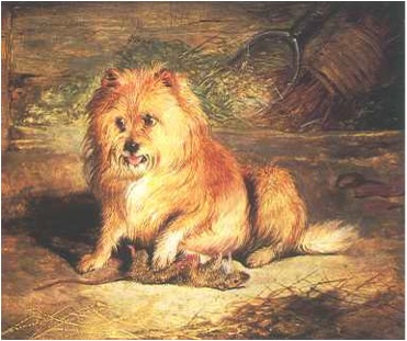 Vixen, 1824, Edwin Henry Landseer. Oil on panel. Collection Ruth Havemeyer Norwood. DOG PAINTING: The European Breeds, William Secord, 2000.