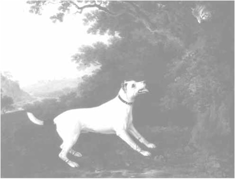 Smooth Fox Terrier, c. 1790, John Boultbee. Oil on canvas. Private Collection. Photography by Grant Taylor. DOG PAINTING, 1840-1940, William Secord, 1992.