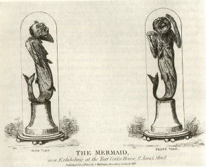 The mermaid