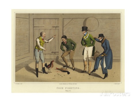Cock-fighting, Henry Thomas Aiken